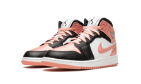 Jordan 1 Mid GS Light Madder Root DM9077 108
