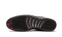 Air Jordan 12 Retro Reverse Flu Game CT8013 602