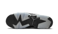 Air Jordan 6 Retro GS Cool Grey 384665 010